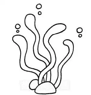 海底电脑绘画简笔画植物