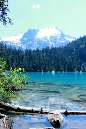 风景这边独好——温哥华joffre湖 - 美篇