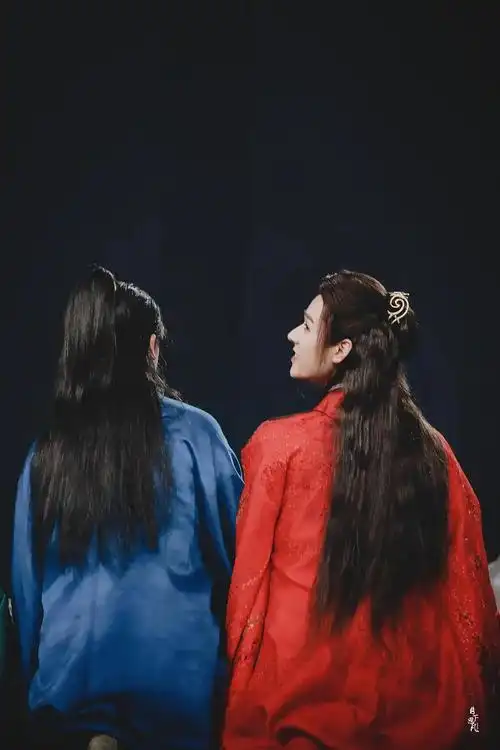 浪浪钉是整个春天的奇迹但爱还在延续