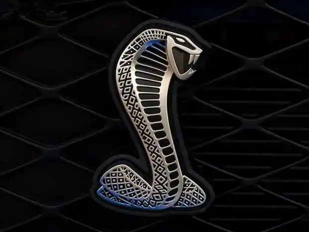 车标是个s的跑车 什么牌子的? nga玩家社区