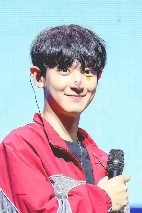 朴灿烈##朴灿烈61次心动记录