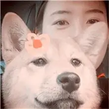 女生抱狗狗小清新头像