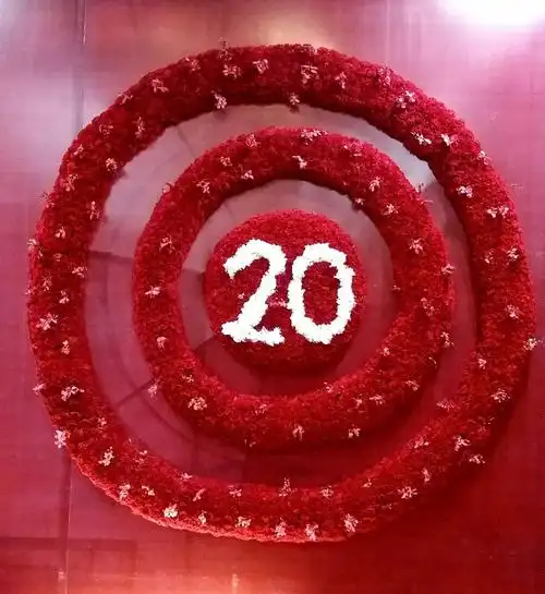 "如影随形"…… y z 瓷婚20年(手机版)