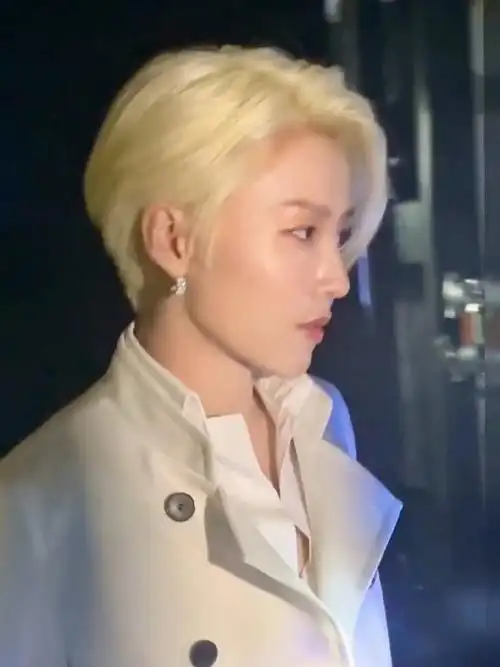 刘雨昕今天活动,金发好贵气!