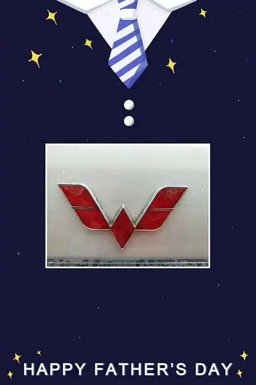 王子涵——发现生活中的轴对称