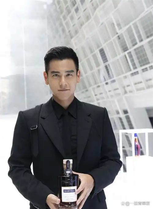 彭于晏是一位既有高颜值又有精湛演技的人类高质量男星,在海内外都