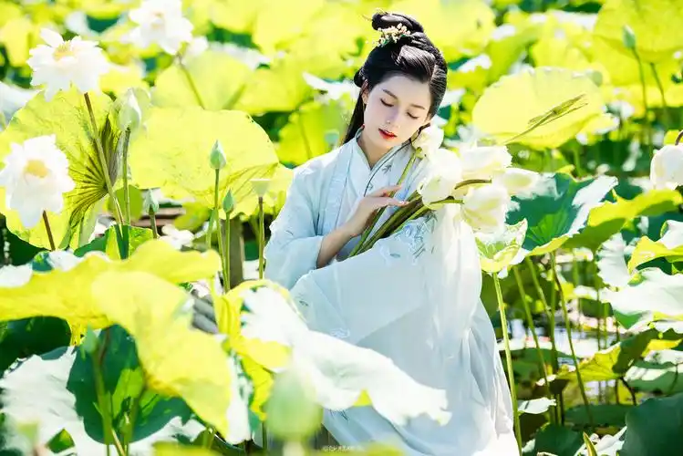 荷花汉服小仙女