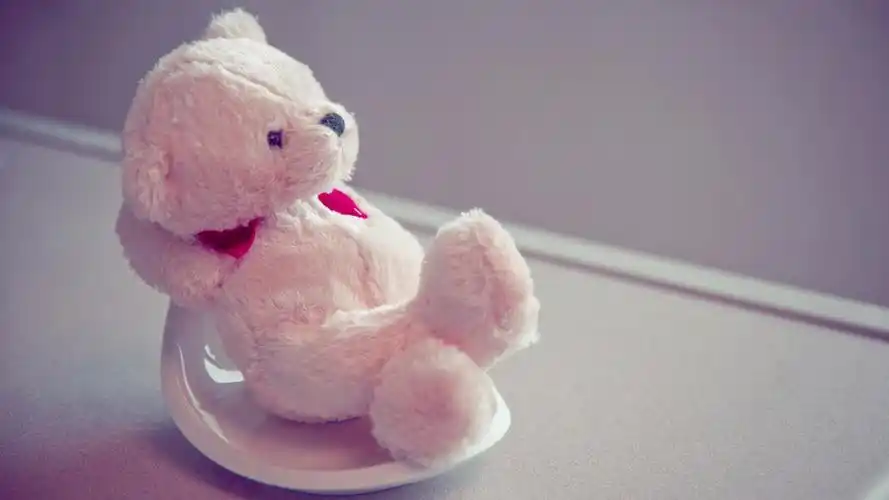 毛茸茸的泰迪熊壁纸