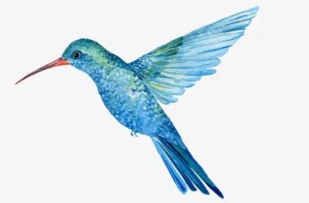 卡通手绘飞翔的小鸟