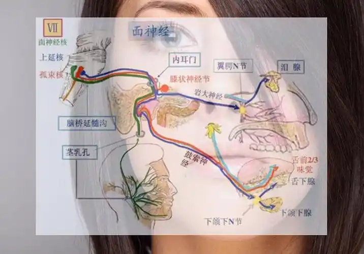 面瘫变丑险遭男友抛弃,专家帮她恢复昨日容颜挽回爱情