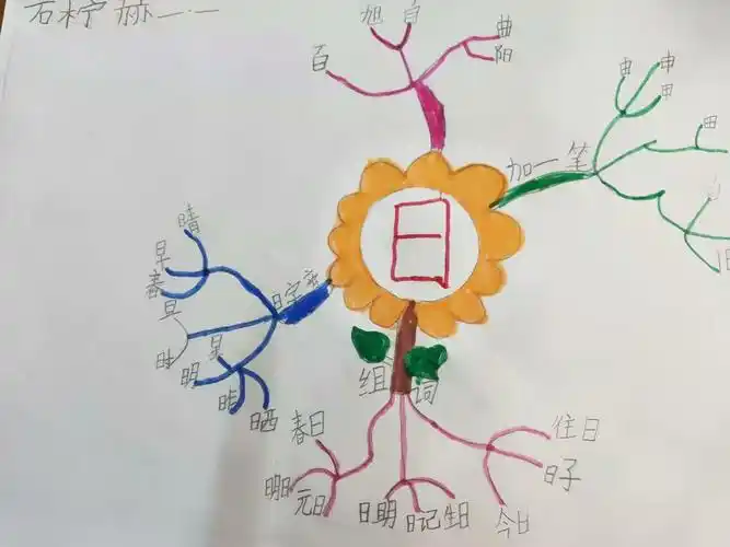 汉字开花朵朵艳——泰安市实验学校一年级一班语文学科活动
