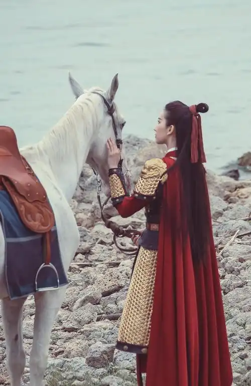 今日份的宣姬将军(8.8)