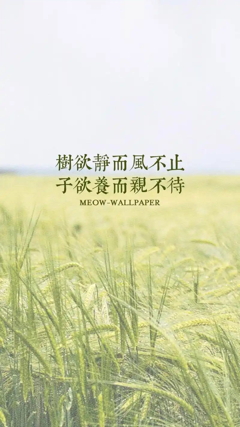 小清新背景文字语句创意图片手机壁纸