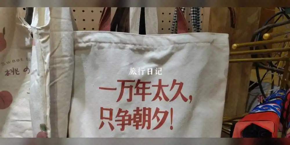 一万年太久,只争朝夕