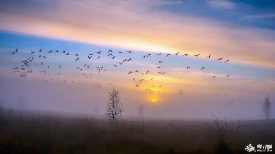 qq伤感个性签名伤透心