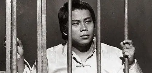 年轻气盛的梁小龙也是不管不顾的加入了.