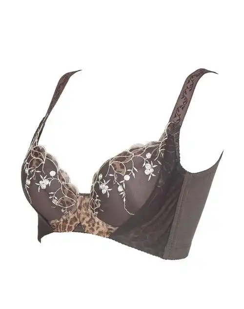 茜施尔柳岩款聚拢侧收副乳上托薄杯文胸