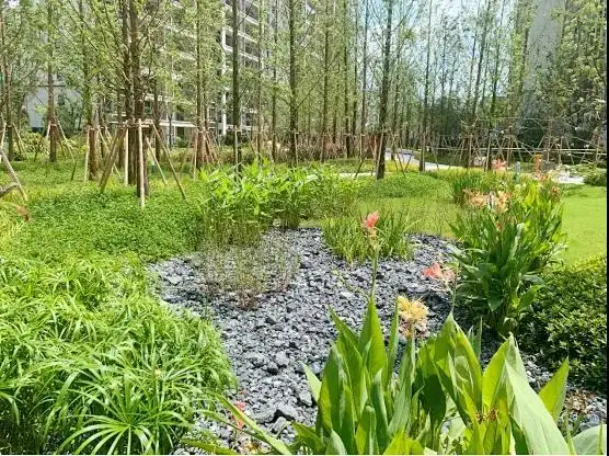 居住社区结合小区特色在公共空间设置雨水花园等设施城市空间发挥雨水