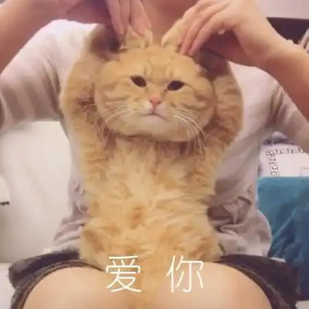 展开全部 正常都是比心的表情.只是一个表情包,不用太在意吧.