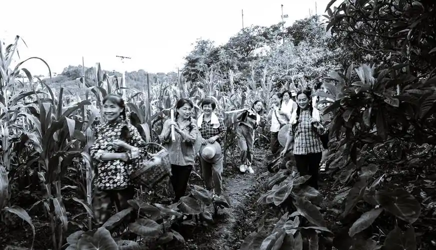 知识青年--难忘的记忆