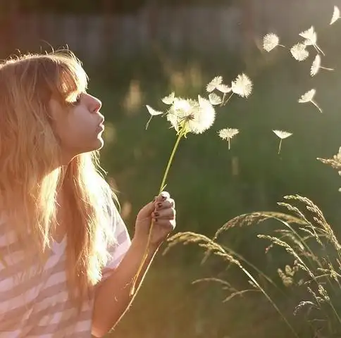 类似于这张图片上得 图片 就是 像那个女孩拿着蒲公英 一样的图片 ,做