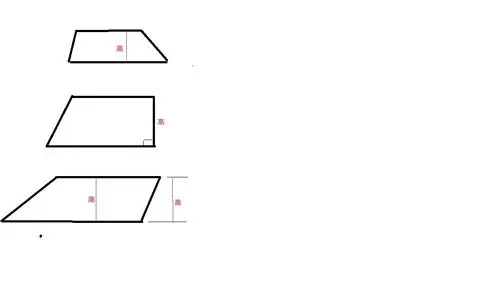 梯形的高能不能画在腰上
