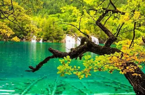 每到夏秋季节,这里便会美如仙境般.图片来自网络.图片来自网络.