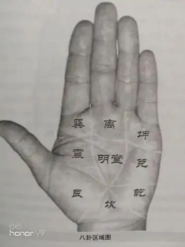 掌纹八卦图