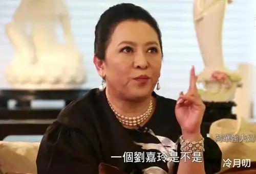 向太陈岚(向太陈岚个人简介)