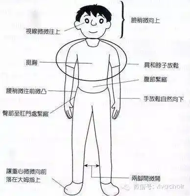 小课堂歌唱发声技巧器官图