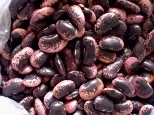 这个豆豆叫什么名字?在展销会上买的,条上写的是云南特产天然补肾果