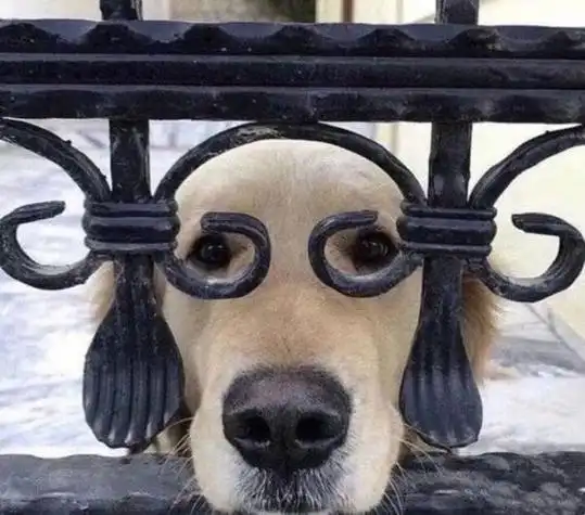 沙雕逗比搞笑闺蜜头像刘祥坤高清搞笑图片头像和平精英人机头像搞笑小