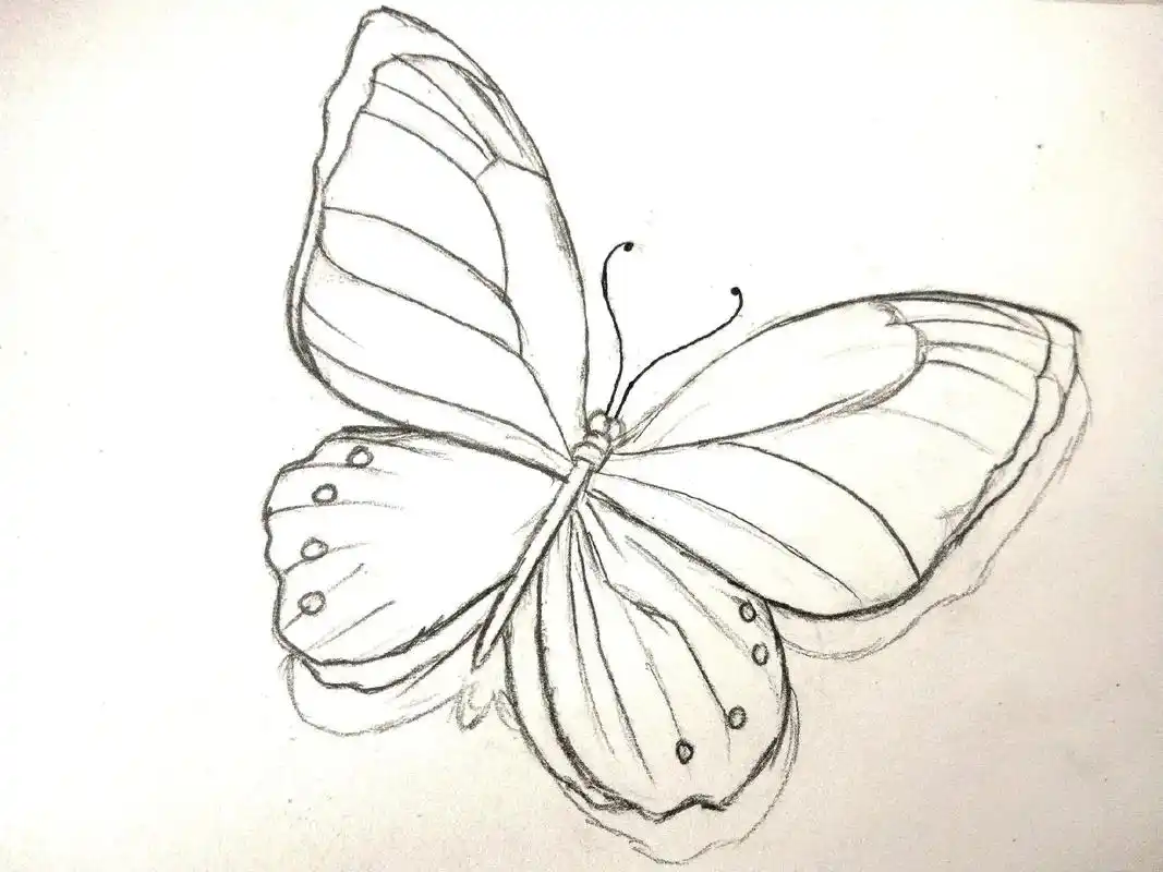 彩铅手绘 #蝴蝶 #临摹 #手绘 #未知原创 救 - 抖音