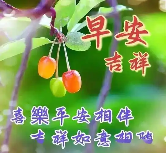 微信最新早上好图片大全,真心问候,幸福平安!_祝福_生活_日子