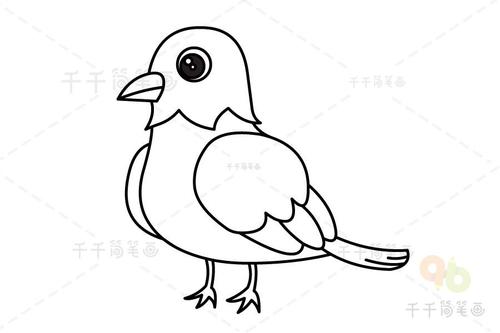 简单又好看的小鸟简笔画教程