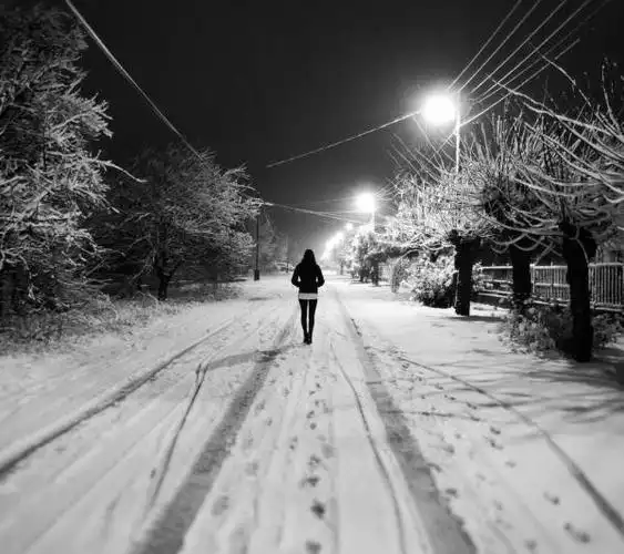 孤独美女背影求原图