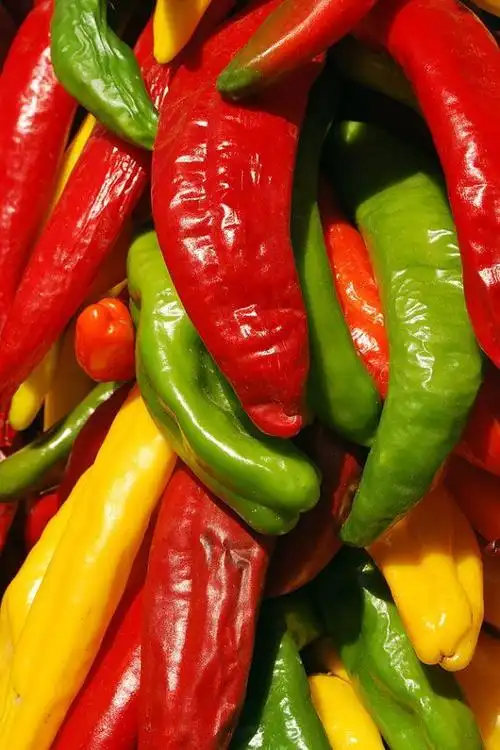 yellow red and green chile peppers