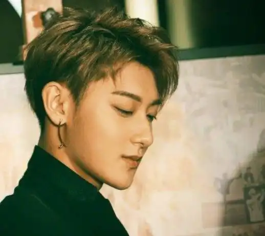 黄子韬个人简历(从练习生到身价200亿)