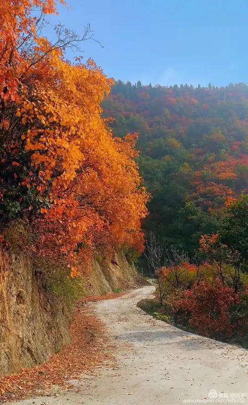 就这样吧,从此山水不相逢