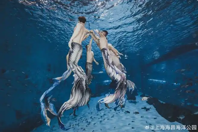 男人鱼的绝美人鱼线##上海海昌海洋公园
