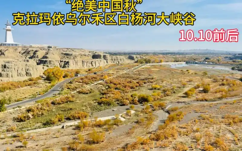 "绝美中国秋"克拉玛依乌尔禾区白杨河大峡谷10.10前后
