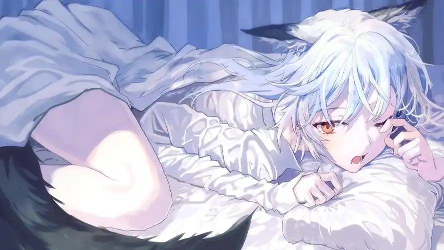 二次元卡牌游戏有哪些