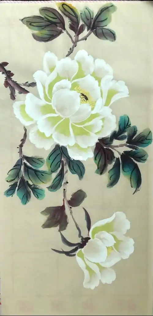 我的绘画日常  #国画  #牡丹