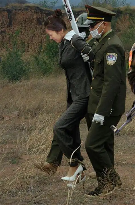 枪毙是打心脏还是脑袋执行死刑犯打心脏还是打脑袋2022已更新今日资讯