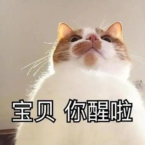 zip格式文件解压出一个文件;3,此时可以直接打开查看你要的表情包图片