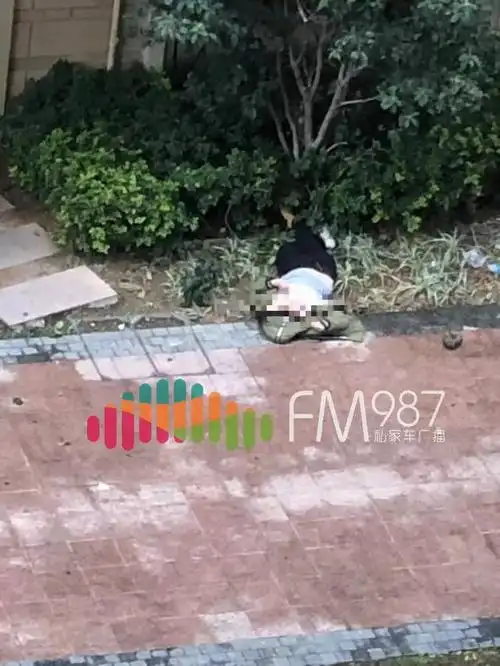 福州浦上大道某小区内 一女子跳楼身亡!疑似孕妇!_手机搜狐网