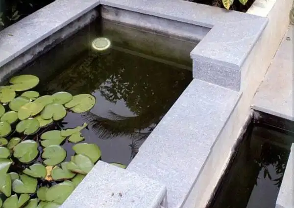 最美六款庭院小水池设计图片