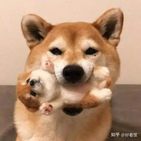 可爱动物头像可爱小动物头像呆萌呆萌可爱的动物头像注意注意萌