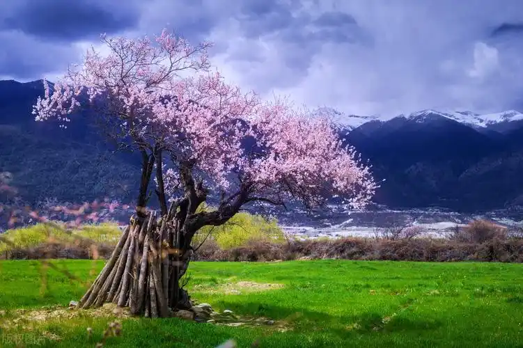 大自然图片风景图片(被人间高质量美景馋哭了) - 赤虎壹号