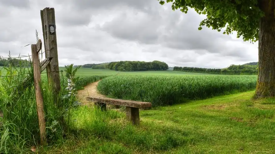 高清大图风景壁纸1920x1080下载